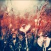 rain_of_colors__by_CasheeFoo.jpg