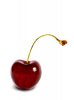 20050926204937_cherry.jpg