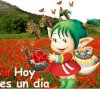 AMAPOLAS.jpg