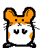 dancing mouse.gif
