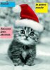 gato_navidad.jpg