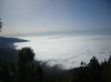 DSCF0159.jpg