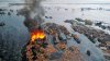 tsunami_japon480.jpg