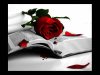 BIBLIA Y FLOR.jpg