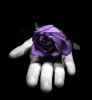 rosa morada.jpg