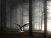 angel+de+noche.jpg