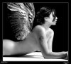 14763024_4233_angel_by_darkrise_H071645_L.jpg