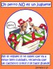 Regalo perro 1.JPG