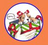 Regalo perro 2.JPG