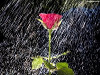 Oct-3-Lluvia.jpg