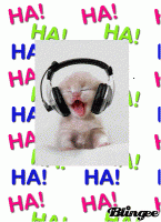 n92616fy (1).gif