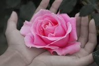 images6AQ71C1J.jpg