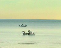 barquitas2.jpg