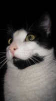 20170212_222603.jpg