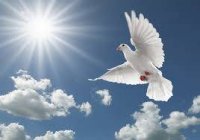 Peaceful Passing.jpg
