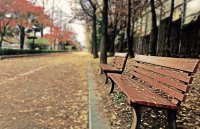 IMG-20171113-WA0025.jpg