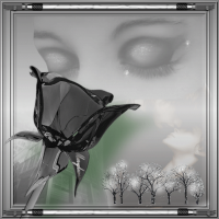 13192-dbd2decbea101976eb884877c9aab942.png