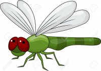 Gauromida.jpg