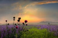 Dream-Place-daydreaming-28953816-500-331.jpg