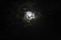 luna.jpg