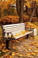 otoño.jpg