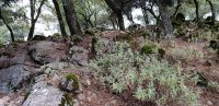 IMG-20181021-WA0012.jpg