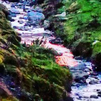 IMG_20181209_194047_964.jpg