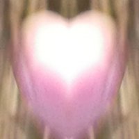 IMG_20181210_173228_507.jpg