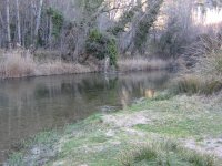 Imagen 010.jpg
