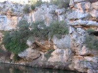 Imagen 004.jpg