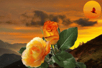 m0d7x995lpj.gif