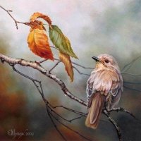 oleg_shuplyak_3600_6002-400x400.jpg