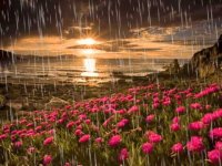 lluvia y sol.jpg