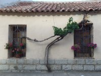 casita-332529_960_720.jpg
