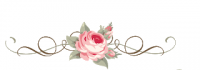 upload_2019-8-24_23-57-51.png