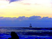 hay tardes en que no puedo evitar  la fantasía porque todo la provoca.jpg