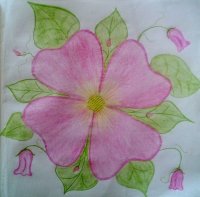 Flor corazón 40%.jpg