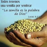 semilla de Dios.jpg