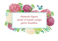 blog2.jpg