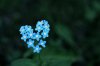 show_me_love_by_cylena-d3f2wc0.jpg