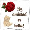 tu_amistad_es_bella.jpg
