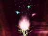 400_1191542032_dream-visions.jpg