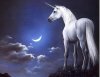 unicornio-imagenes-fantasia-peq.jpg