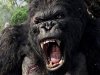 King-Kong.jpg