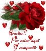 0aGracias_por_estar_aqui_i_compartir_rosa1.jpg