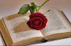 rosa-y-libro[1].jpg