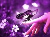 violeta+mariposa+mano.jpg