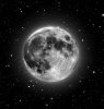 luna estrellada.jpg