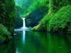 CASCADA EN LA SELVA 23.jpg