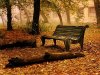 1222138074537_f.jpg